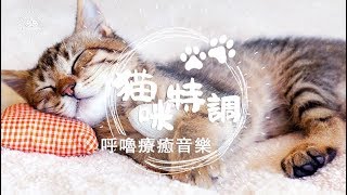 【猫咪特調】貓咪呼嚕療癒音樂 #03 - 讓主人跟猫奴一起安睡的療癒音樂