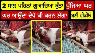 2 Sal ਬਾਅਦ ਵਾਪਿਸ ਆਇਆ ਕੁੱਤਾ 🐕 ਦੇਖੋ ਕੀ ਕਰਨ ਲੱਗਾ ਘਰ ਆ ਕੇ