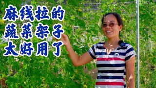 EP 4 兔妈用一根麻线拉出来的蔬菜架子，整齐漂亮还实用，快点用上吧