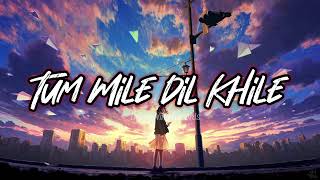 Tum Mile Dil Khile | Slowed And Reverb | Aesthetic Hindi Song 2021 Lofi Song