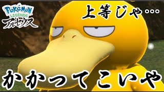 決闘中に罠にかかって撃沈するコダック先輩【ポケモンアルセウス】 #Shorts