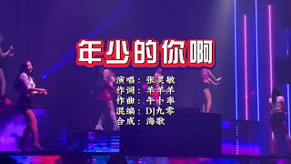 张灵敏《年少的你啊》DJ九零版 KTV 导唱字幕 （备有伴奏视频）