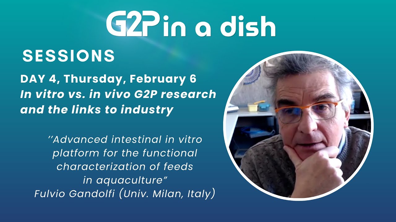 Advanced Intestinal In Vitro Platform Fulvio Gandolfi G2p In A Dish