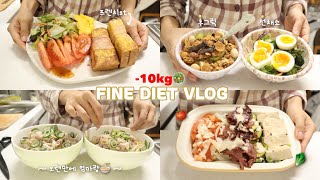 (ENG) DIET VLOG | Return to Sustainable Diet Meal | Intermittent Fasting