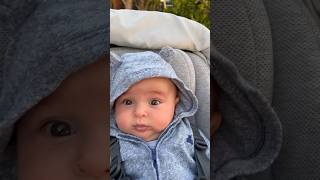 Cute Baby on a Walk #trendingshorts #babyshorts #trending #shorts #youtubeshorts