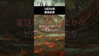 【つばさの党】【選挙妨害】【物議】これってどう思う？#コメント大歓迎