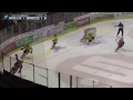 zusammenfassung heimspiel eispiraten vs. lausitzer füchse 25.01.2015