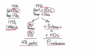 Obstetricia - 5  PREECLAMPSIA