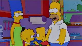 Simpsons Logical Fallacies: Hasty Generalization