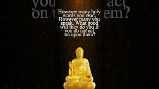 Buddha's life-changing quotes. Buddha quotes that are worth reading.