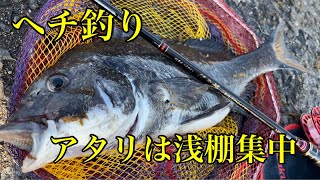 ヘチ釣りアタリは浅棚集中【チヌ釣り　黒鯛　落とし込み】