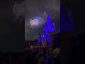 ディズニーライトザナイト　 ディズニー　 disney　 tdr