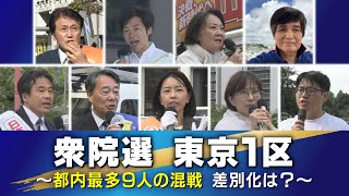 ＜衆院選2024＞東京1区　都内最多9人の混戦に…存在感を示せるか？差別化は？