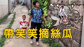 爸爸扛樓梯帶笑笑摘絲瓜，兩歲寶寶主動幫忙，摘完還不忘記給三爺爺送【農村小慧】