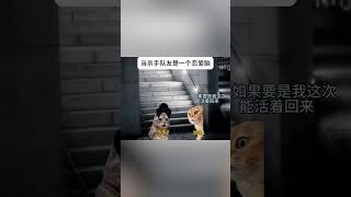 当杀手队友是一个恋爱脑#内容过于真实 #意想不到的结局 #猫meme #恋爱脑 #funny #pets #cat #搞笑 #搞笑 #animals #memes #cute #萌宠 #萌寵