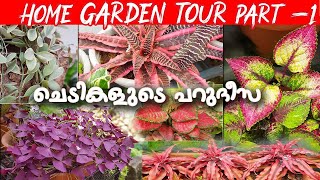 Sitout Garden Tour Malayalam || || Home garden tour ||Hanging plants|| Indoor plants