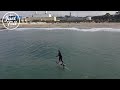 tow boogie foil surf session with la foil club just foil la skydio drone video 4k at shitpipe