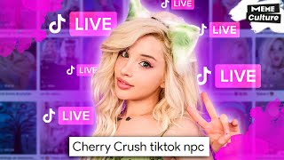 Cherry Crush. TikTok npc streaming