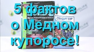 Медный купорос (5 малоизвестных фактов о препарате)