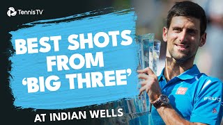 The Big 3 Djokovic, Federer & Nadal's Best Shots At Indian Wells ⭐️