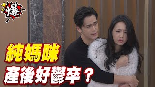 《多情大爆爆》多情城市 EP328 純媽咪 產後好鬱卒？