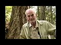 merv wilkinson interview with an eco forester