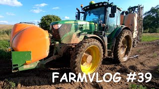 FARMVLOG #39 - John Deere 6155R I Stříkání mrkve I Amazone Uf