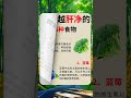 肝越吃越清爽的6种食物！ 养生 養生 健康科普 健康 food 養生食譜 養生湯 養生保健 養生常談 養生食療 中医养生 中医健康