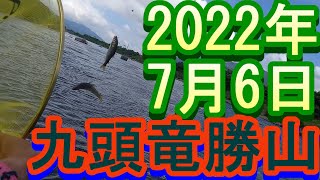 鮎釣り１０cm高垢ぐされ 勝山地区 森川 赤岩  九頭竜川  2022年