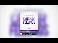 FlipTunesMusic™ - Catchin' Feelings Feat. Sire | RnBass 2018 (Official Audio)