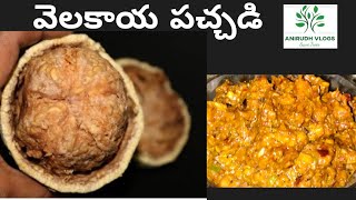 velakkaya pachadi in telugu|velakkaya pachadi|wood apple chutney|వెలక్కాయ పచ్చడి