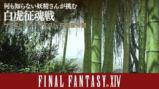 【FF14】何も知らない妖精さんが挑む白虎征魂戦の旅