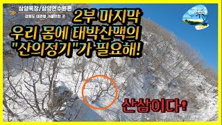 2부 대관령 삼양목장 여행기 산의 정기를 내몸에 받자The Ultimate Guide to Gangwon-do: Korea's Adventure Province