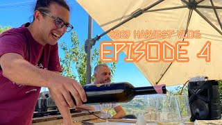 LAMMIDIA 2023 HARVEST | EP 4