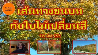 เส้นทางชนบท กับใบไม้เปลี่ยนสี 15 Oct 22 เมียฝรั่งสูงวัย คนไทยในต่างแดน กับชีวิตติดธรรมชาติ