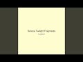 Serene Twilight Fragments
