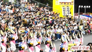 阿波おどり「四国大学連 」徳島夏の阿波おどり2018@藍場浜