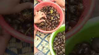 Eating snails 🐌 of farmers boys and girls look so yummy #eating #food #asmr