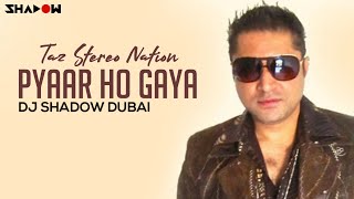 Taz Stereo Nation | Pyaar Ho Gaya | DJ Shadow Dubai Remix