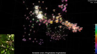 Visualizing Bird Songs