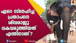 എല്ലാ ആനകളെയും വരുതിയിലാക്കിയ പ്രതാപന് പിഴച്ചത് എവിടെയാണ് ? Thrikkadavoor Sivaraju Elephant