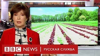 К чему призывают британцев активисты «Восстания против вымирания»