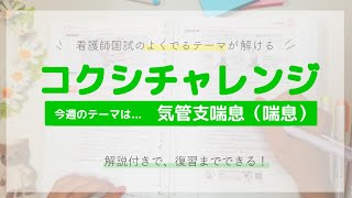 【看護師国試のよくでるテーマが解ける！】　気管支喘息（喘息） 編　～コクシチャレンジ week23～