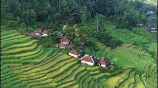 HEALLING TINGGAL BUKA PINTU🤩|Suasana kampung ditengah sawah yang bikin betah😊