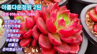 #아름다운정원2탄#국민이군생들 #창들도#착한가격에 (5만원이상 선물도 드려요) *에센스군생*에이핑크*카시오스*아르케인*사라보니*루비프리세스*파키피듬군생~~