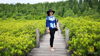 ทุ่งโปรงทอง แสมผู้ ระยอง mangrove viewpoint and nature trail @Rayong