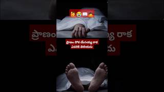 ప్రాణంపోక  యేసయ్య రాక ఎవరికి తెలియదు- జాగ్రత్త పడు|#shorts#ytshorts#latest #jesus#love