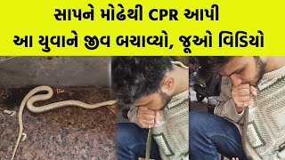 સાપને મોઢેથી CPR આપી આ યુવાને જીવ બચાવ્યો, જૂઓ વિડિયો