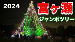 「宮ヶ瀬」日本最大級のジャンボツリー/クリスマスイルミネーション点灯【宮ヶ瀬ダム】【清川村】【イルミネーション】