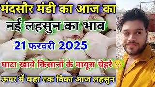 21 February 2025 मंदसौर मंडी का नई लहसुन का भाव | Today New Garlic Rate | Aaj Ka Lahsun Ka Bhav